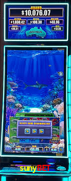 Programa VIP sunybet